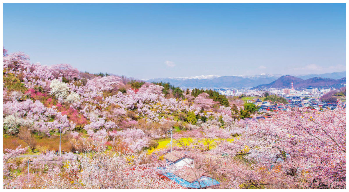 Ảnh: japan-travel